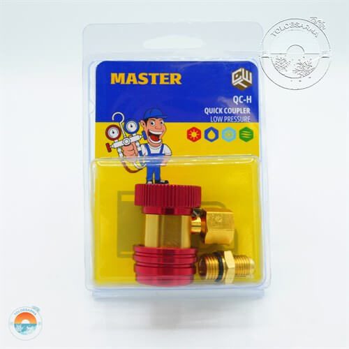 master-qc-h-gas-coupling